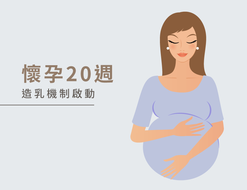 懷孕20周-產後多久有母乳